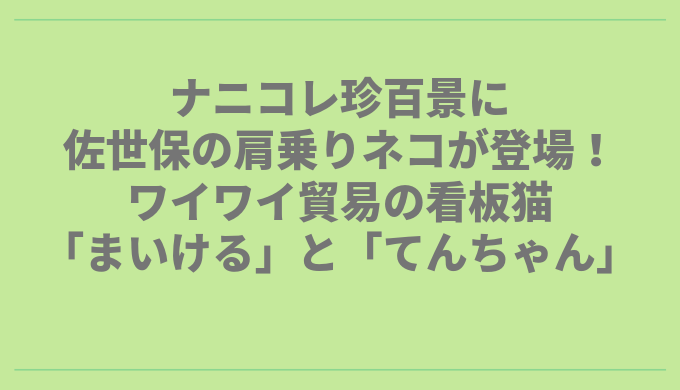 ナニコレ珍百景に佐世保の肩乗りネコが登場 ワイワイ貿易の看板猫 まいける と てんちゃん 長崎ページ